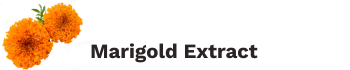 Ashwagex Logo