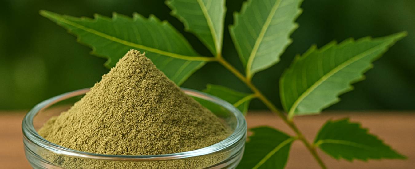 Herbal Lab with Greenery