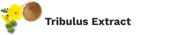 Ashwagex Logo
